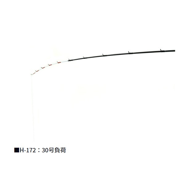 24アナリスターカワハギ